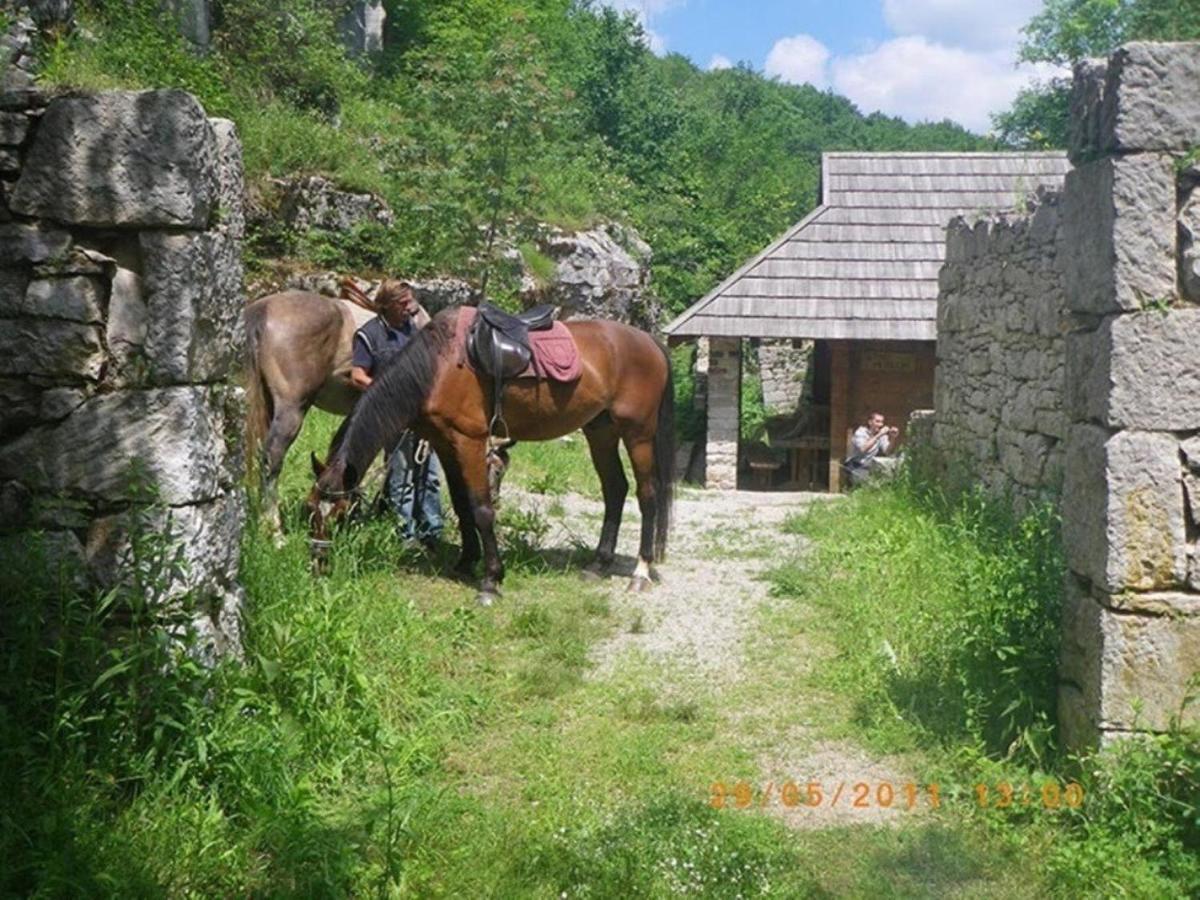 Dvori Stipanovi With Heated Pool And Jacuzzi Villa Donje Rascane Bagian luar foto